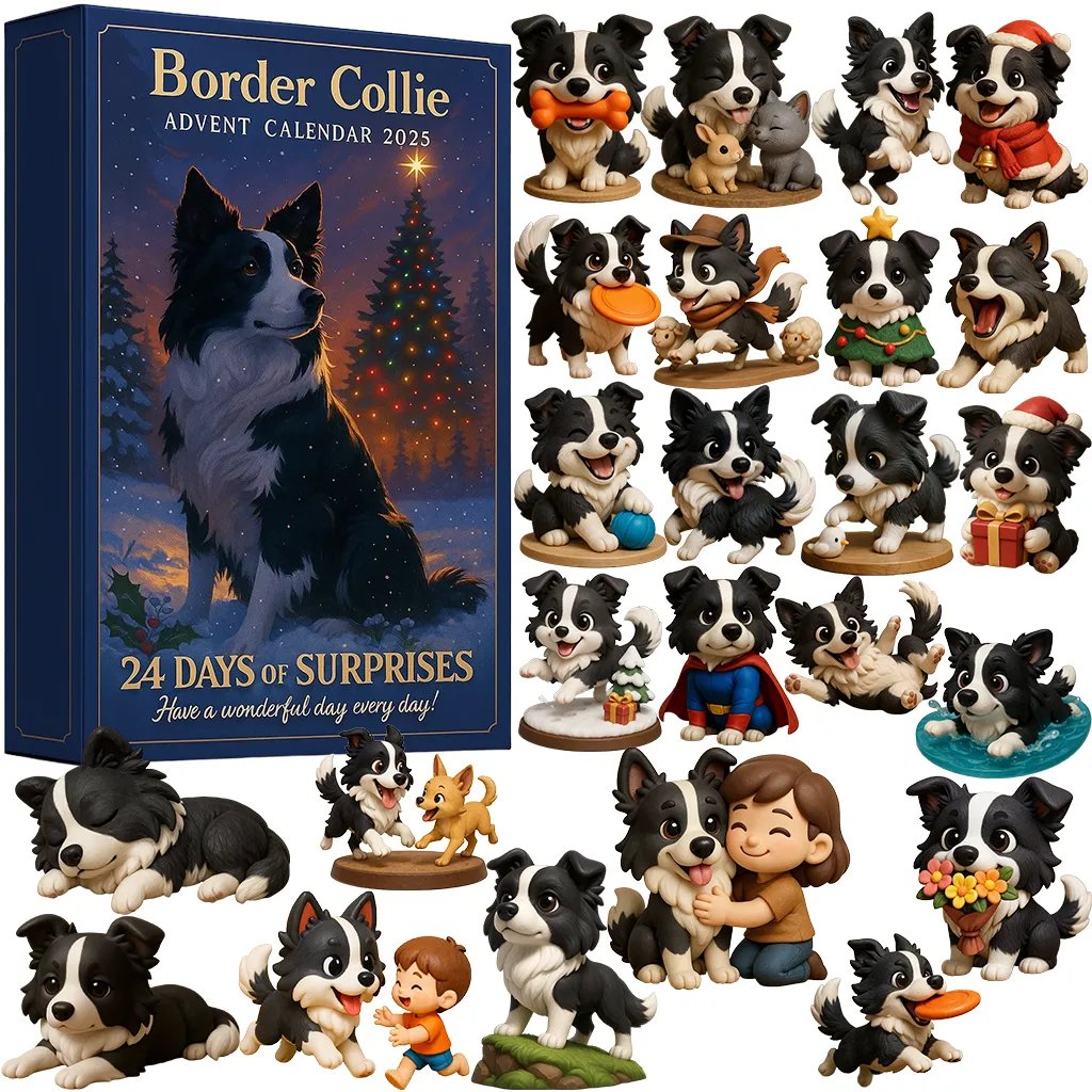 Border Collie | Advent Calendar 2025