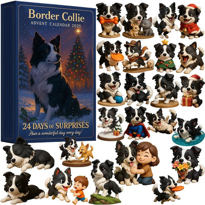 Border Collie | Advent Calendar 2025