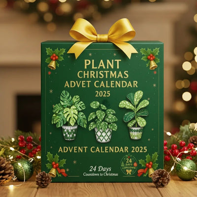 Christmas with Plants | Advent Calendar 2025
