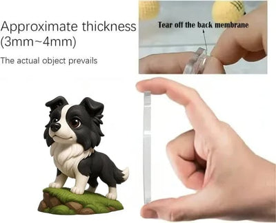 Border Collie | Advent Calendar 2025