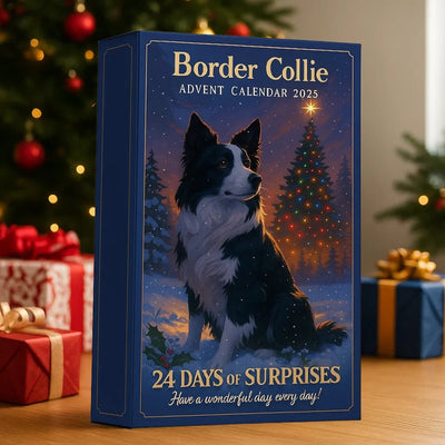 Border Collie | Advent Calendar 2025